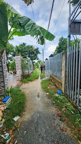 Công ty Đấu giá Hợp danh Sao Việt 