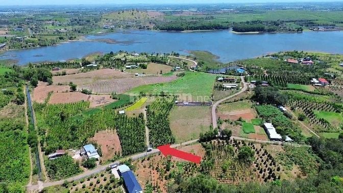 Bán đất nhà vườn sinh thái cạnh hồ Đá Bàng , Châu Đức, BRVT