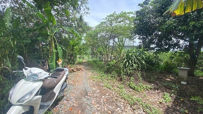 Bán Vườn 2469m2 TẶNG Căn Nhà 120m2, Nhơn Nghĩa, Phong Điền, Cần Thơ