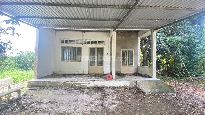 Bán Vườn 2469m2 TẶNG Căn Nhà 120m2, Nhơn Nghĩa, Phong Điền, Cần Thơ