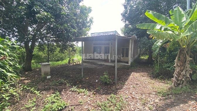 Bán Vườn 2469m2 TẶNG Căn Nhà 120m2, Nhơn Nghĩa, Phong Điền, Cần Thơ