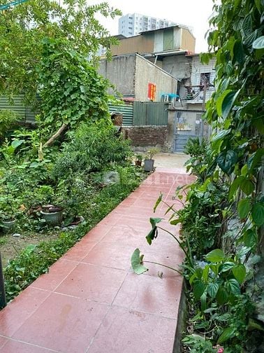 Cho thuê nhà ở số 58A ngõ 99/110/79 Định Công Hạ, diện tích 50m2