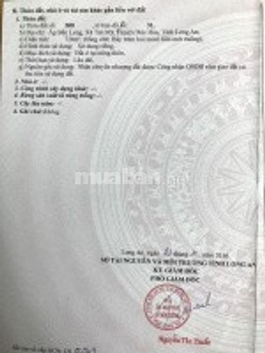 🌟 CHÍNH CHỦ CẦN BÁN ĐẤT THỔ CƯ TẠI TÂN MỸ – ĐỨC HOÀ – LONG AN