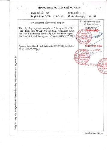 Cho thuê đất trống CLN tại xã An Long,thành phố HCM giá 20 triệu/tháng