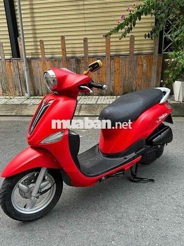 Nozza biển62