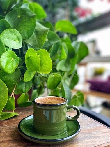 Cần 3 bạn bán hàng làm việc việc ngay tại Tphcm