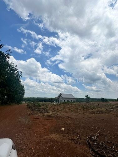 23x42 mặt tiền siêu rộng, nằm gần KCN, đường Xuyên Tâm. Giá chỉ 265tr