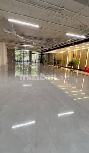 BÁN Tòa  NHÀ MẶT PHỐ  TOÀ VĂN PHÒNG - KINH DOANH - DT450 M giá 380 tỷ