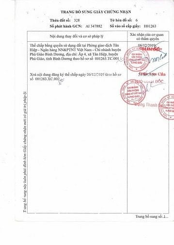 Cho thuê 45.000m² đất trống TCLN An Long, tiện SXKD chế biến gỗ,20tr/t