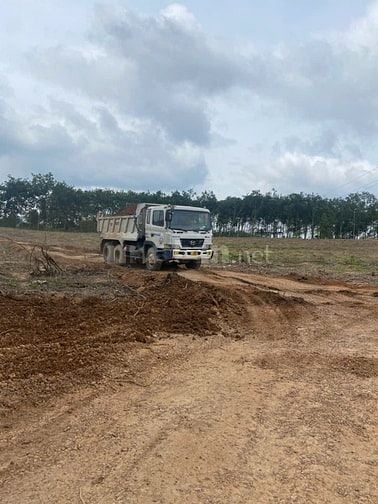 Cho thuê 45.000m² đất trống TCLN An Long, tiện SXKD chế biến gỗ,20tr/t