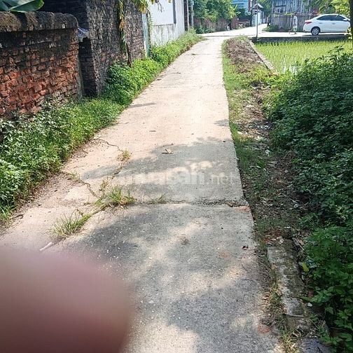 bán gấp đất bìa làng dt;128m.mt;8m vi trí đắc địa