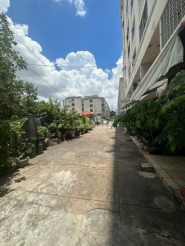 Mình có nhà quận 4 cần cho thuê gấp