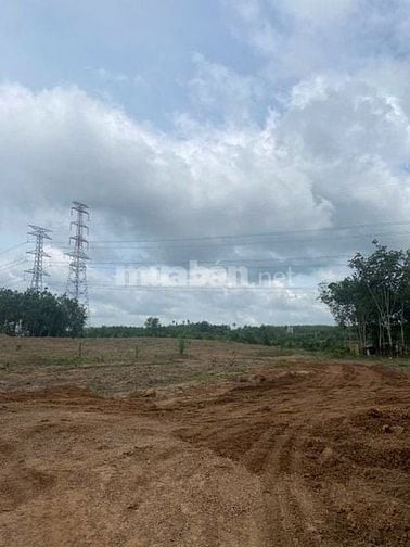 Cho thuê đất trống CLN tại Xã An Long, Tp. Hồ Chí Minh giá 20tr DT 4,5