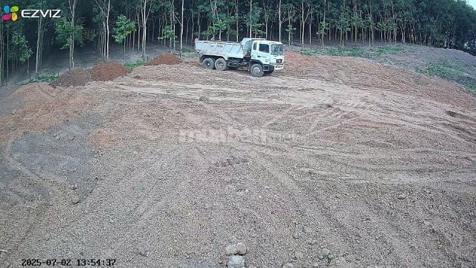 Cho thuê đất trống CLN tại Xã An Long, Tp. Hồ Chí Minh giá 20tr DT 4,5