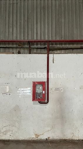 Cho thuê Kho Xưởng 1000m2 gần đường M1, Giáp KCN Tân Bình