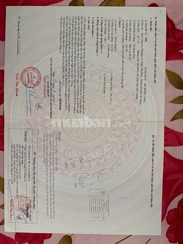 nhà mặt tiền cống lỡ p15 tân bình