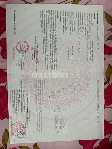 nhà mặt tiền cống lỡ p15 tân bình