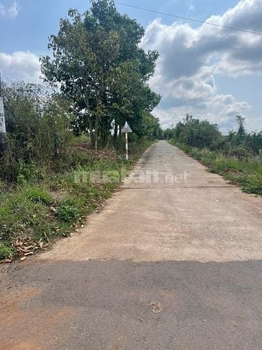 Chính chủ cần bán lô đất thổ cư 