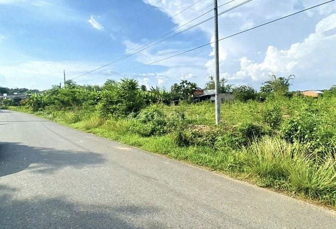 Bán đất 2 mặt tiền trục chính xã Phú Ngọc, Đồng Nai, Giá 1 tỷ/1.000m2