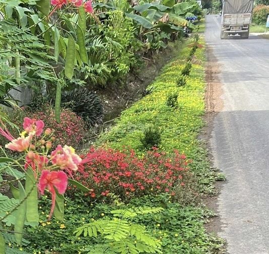 Bán đất 2 mặt tiền trục chính xã Phú Ngọc, Đồng Nai, Giá 1 tỷ/1.000m2