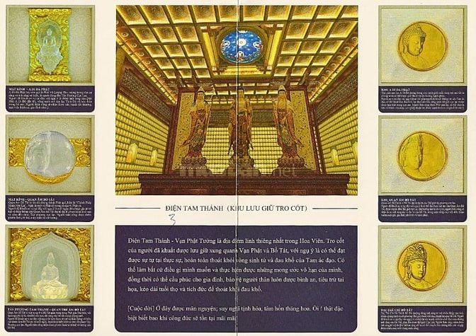 SẢN PHẨM ĐẦU TƯ MỚI :  BẤT ĐỘNG SẢN ĐẶC THÙ