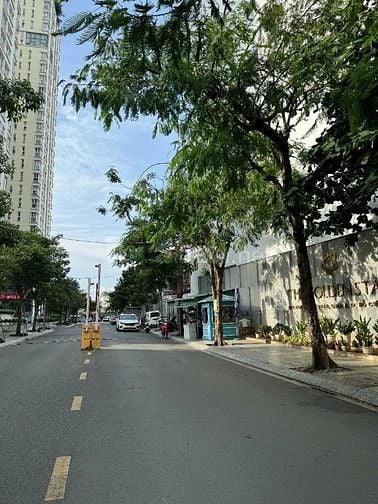 Bán căn hộ TMDV duplex DTXD 130m2  Golden Star 58B Nguyễn Thị Thập Q7.