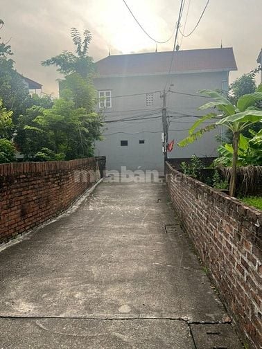 BÁN ĐẤT THÔN ĐÔNG PHÙ LỖ 224m2 GIÁ CHỈ 5.35
