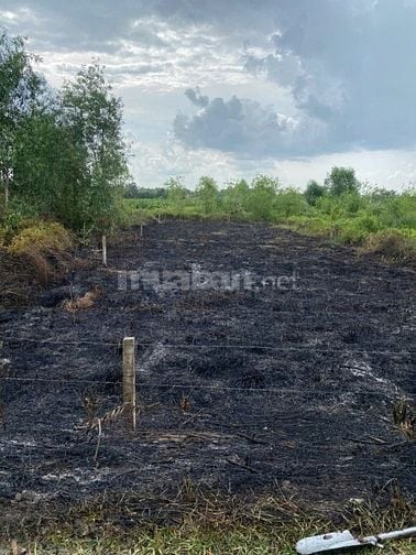 CẦN Bán Thổ Vườn 745m²(375m² thổ) mặt tiền kênh 8m(15m×50m)