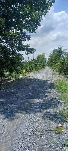 CẦN Bán Thổ Vườn 745m²(375m² thổ) mặt tiền kênh 8m(15m×50m)