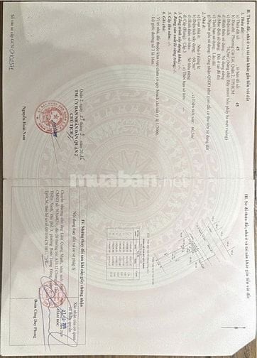 Bán rẻ nhà đường số 3 phường cát lái, thành phố hồ chí minh giá rẻ