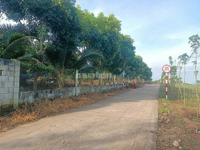 🏡 BÁN ĐẤT NỀN ĐẸP - GIÁ TỐT - THỔ CƯ SẴN 🌴 XUÂN TÂY CẨM MỸ ĐỒNG NAI