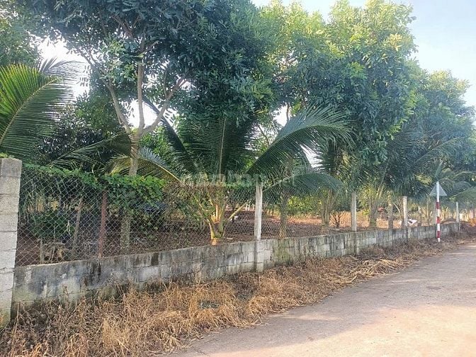 🏡 BÁN ĐẤT NỀN ĐẸP - GIÁ TỐT - THỔ CƯ SẴN 🌴 XUÂN TÂY CẨM MỸ ĐỒNG NAI