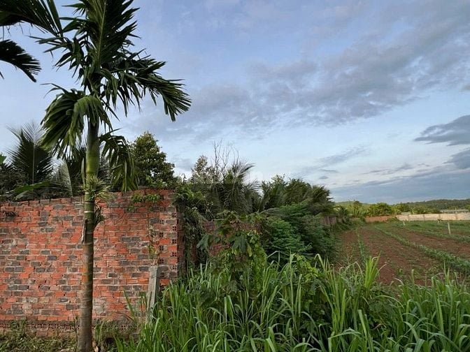 bán đất nhà vườn sinh thái canh hồ Đá Bàng - CHÂU ĐƯCS, BRVT
