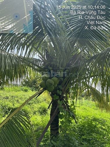 bán đất nhà vườn sinh thái canh hồ Đá Bàng - CHÂU ĐƯCS, BRVT