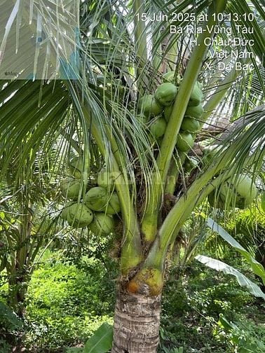 bán đất nhà vườn sinh thái canh hồ Đá Bàng - CHÂU ĐƯCS, BRVT