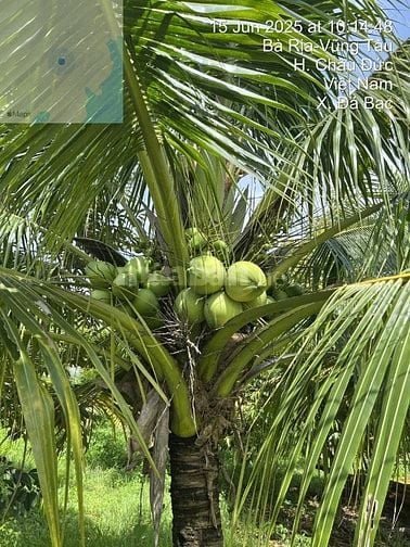 bán đất nhà vườn sinh thái canh hồ Đá Bàng - CHÂU ĐƯCS, BRVT