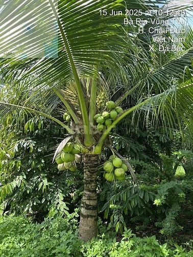bán đất nhà vườn sinh thái canh hồ Đá Bàng - CHÂU ĐƯCS, BRVT