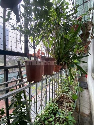 Cho thuê căn hộ sân vườn SDU 143 Trần Phú, Hà Đông 70m2+15m2 sân vườn