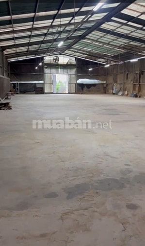 Kho xưởng cho thuê Tân Thông Hội , Củ Chi , DT: 1,000m2 