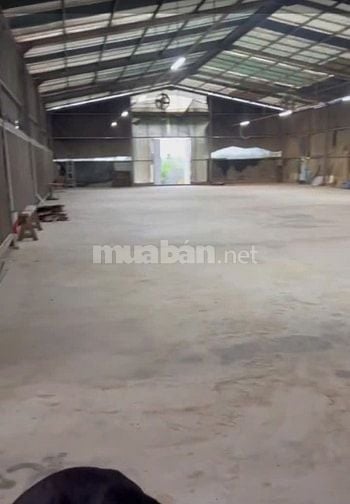 Kho xưởng cho thuê Tân Thông Hội , Củ Chi , DT: 1,000m2 