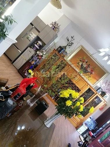 Chỉ 157Triệu/m2- 2 Toà Biệt Thự T.T Q.Bình Thạnh