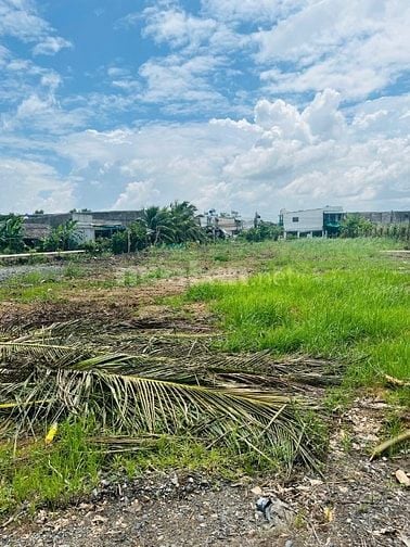 Chủ cần tiền bán nhanh lô đất 125m2 Sổ sẵn 1.5 tỷ ngay TT Đức Hòa