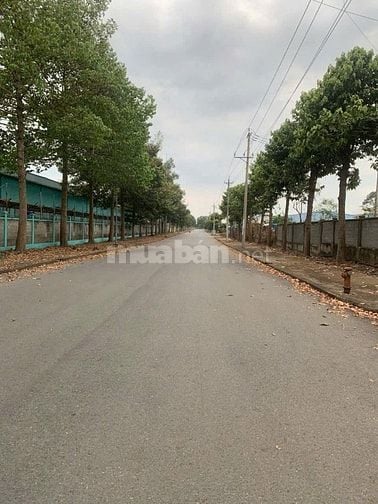 Cho thuê đất 2585m², 2 mặt tiền , 160 triệu/tháng. QL 22 Hóc môn 