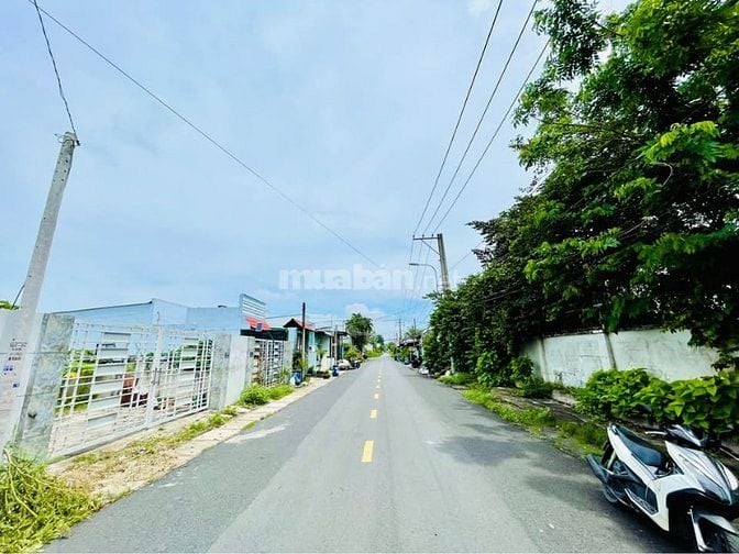 Cần bán gấp lô đất mt gần chợ Việt Kiều Tân Thông Hội Củ Chi 340m2 
