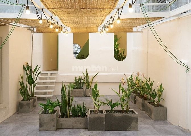 Bán Nhà Hẻm Xe Tải Đ.Thành Thái, P.14, Quận 10 - DT: 4x20m (Nở Hậu)