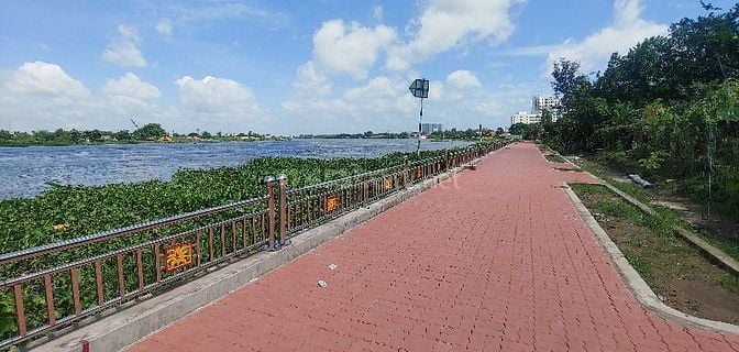 Đất HXH 462m2 vuông vức nở hậu 2 mặt thoáng, 432m2 thổ cư.