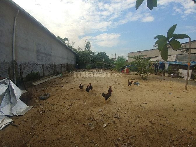Đất HXH 462m2 vuông vức nở hậu 2 mặt thoáng, 432m2 thổ cư.