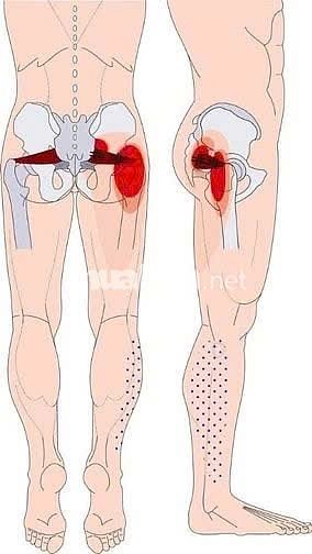  Massage- Huyệt trị liệu _ Lgam  rối loạn tâm sinh lý, thần kinh..
