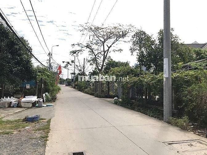 BÁN 2 LÔ ĐẤT LIỀN KỀ MT HÀ QUANG VÓC, BÌNH KHÁNH, CẦN GIỜ, 13,5TR/M2 7