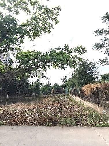 BÁN 2 LÔ ĐẤT LIỀN KỀ MT HÀ QUANG VÓC, BÌNH KHÁNH, CẦN GIỜ, 13,5TR/M2 7